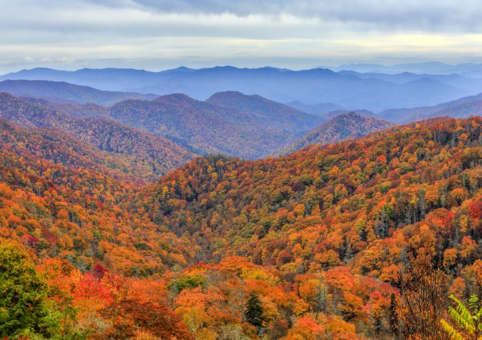 Kentucky & the Smokies