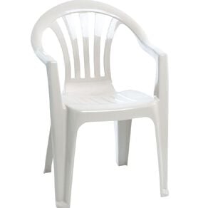 Taurus Home Products Resin Chair