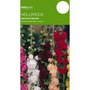 Kiwi Garden Hollyhock Summer Seeds