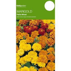 Kiwi Garden Marigold Petite Mix Seeds