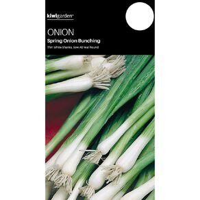 Kiwi Garden Spring Onion Bunching Seeds