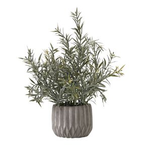 Living & Co Artificial Succulent in Textured Pot