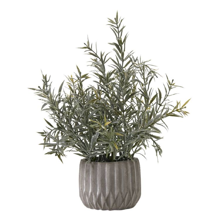 Living & Co Artificial Succulent in Textured Pot, , hi-res