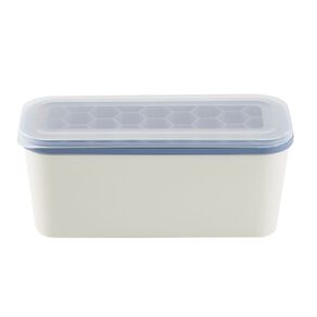 Living & Co IceTray with Container Blue