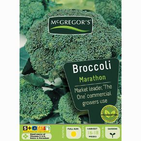 McGregor's Marathon Hybrid Broccoli Vegetable Seeds