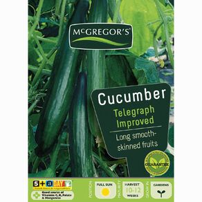 McGregor's F.1. Hybrid Telecucumber Vegetable Seeds